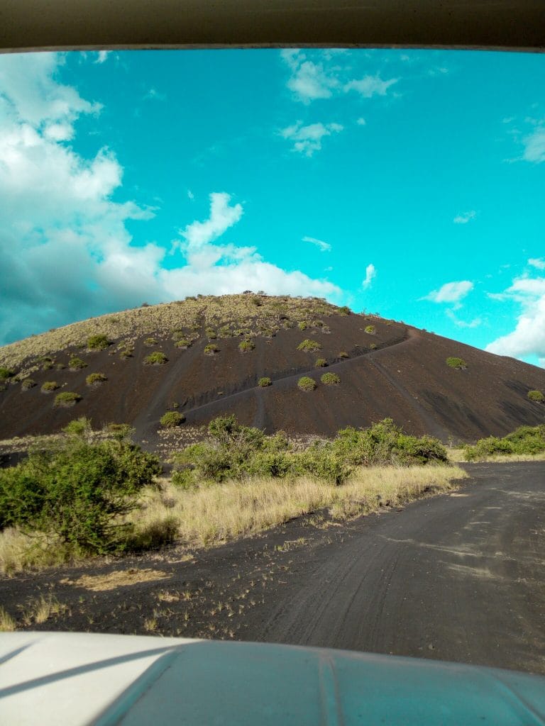 Mountain and forest landscape near Taveta