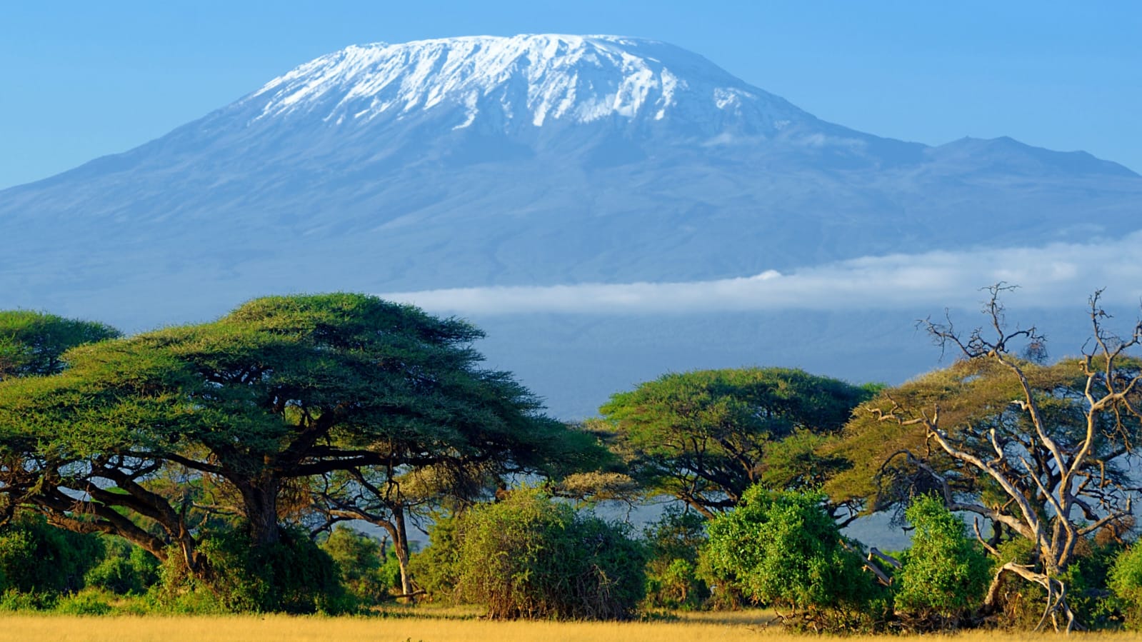 Mount Kilimanjaro photo one