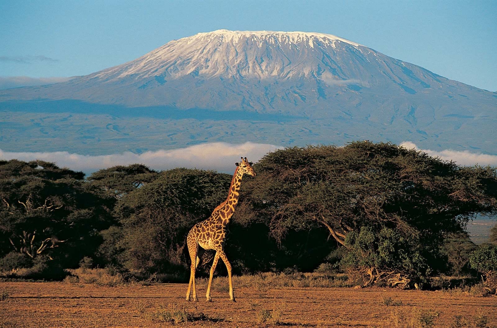 Mount Kilimanjaro photo three