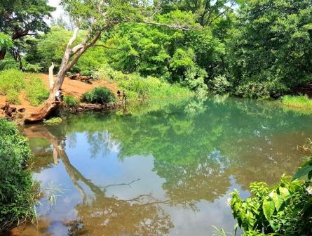 Njoro Springs photo one